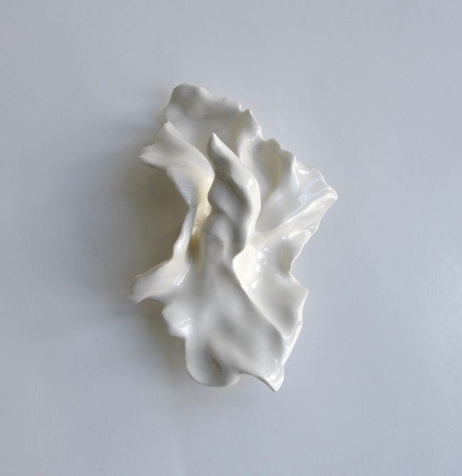 2018-2023 White flowers